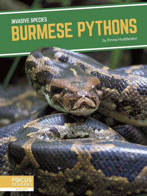 cover image of Burmese Pythons